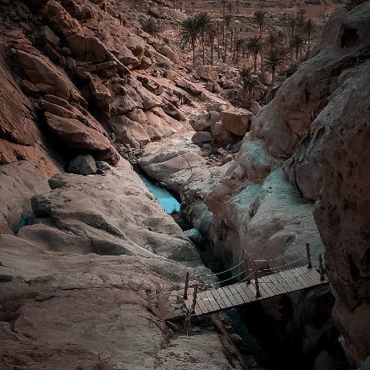 Definitely one to check out if you are planning to come to Fuerteventura 🤙🏻 If you are lucky you will encounter goats climbing around, rabbits and other animals that will highlight your hike 🏃🏃‍♀️ PS: Fuerte is finally 'green' so covid restrictions are even less annoying!